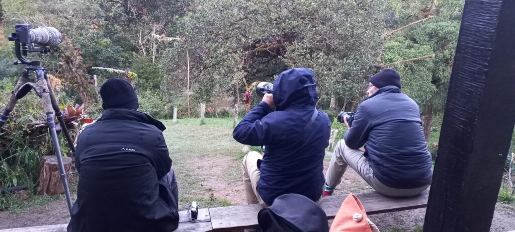 capture costa rica bird photograply trip 2025