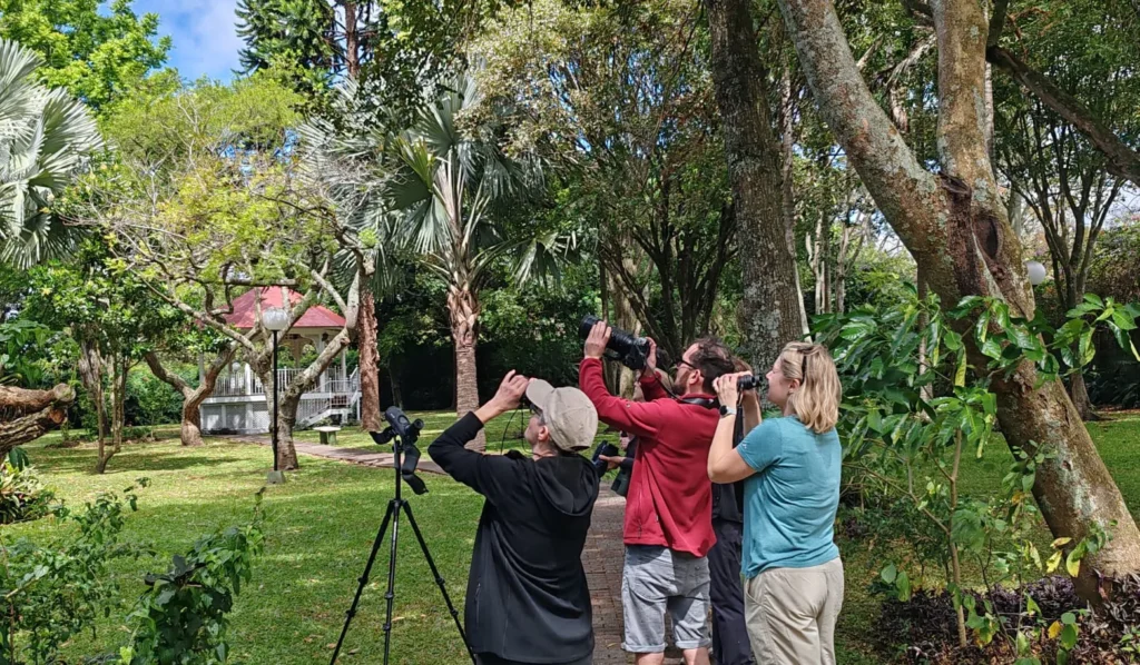 Tracking the Trogons 2026 Trip Report: 11 Days, 6 Trogon Species, 310 Birds 1 tracking the trogons group trip costa rica jan 2026