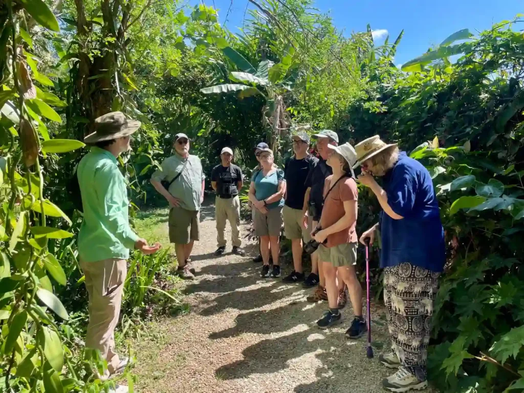 Costa Rica Birds and Beyond Trip Report | January 19–30, 2026 3 Costa Rica Birds and Beyond tour 5