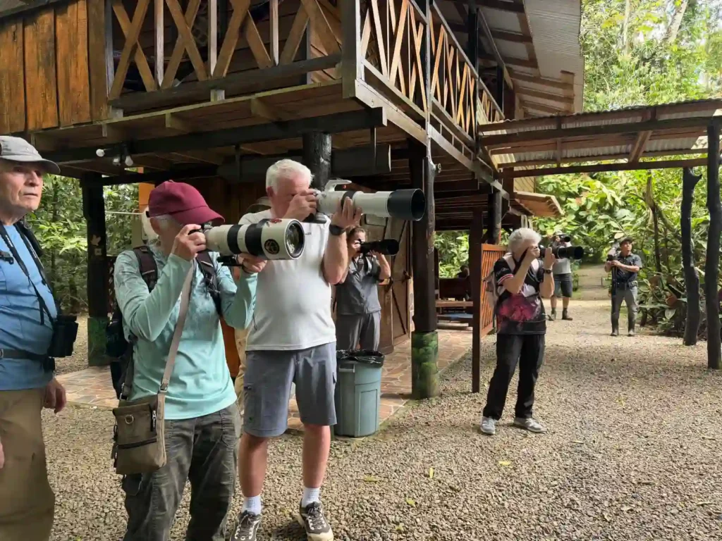 King Vulture Venture II — February 2026 Trip Report 8 King Vulture Tour