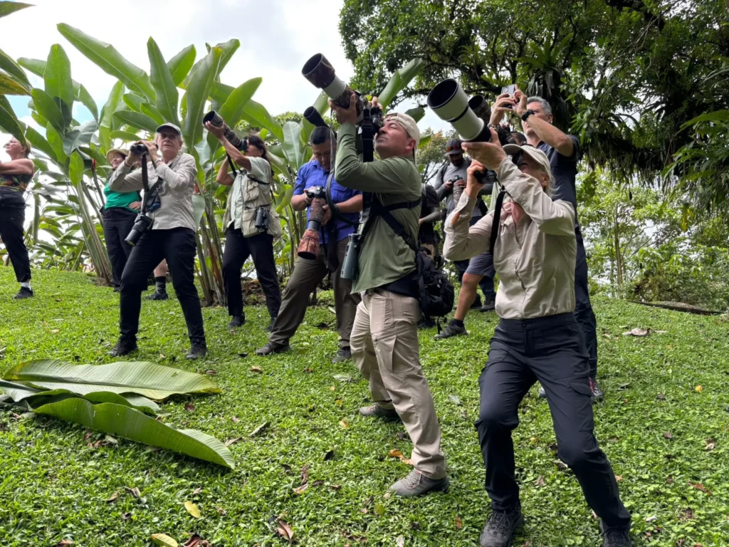 bird photography costa rica guide
