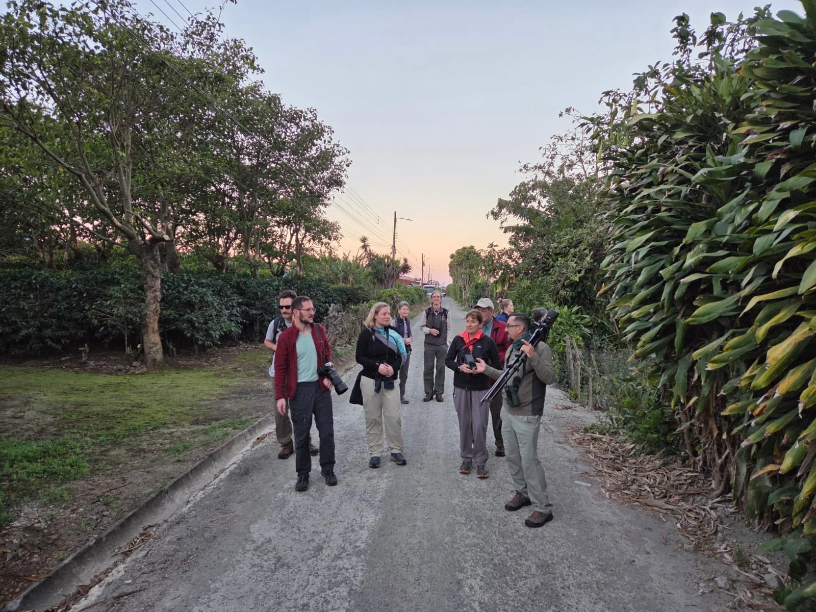 Trip Report: Tracking the Trogons, Costa Rica Birding in January 2026 16 Birders of the Tracking the Trogons 2026 tour